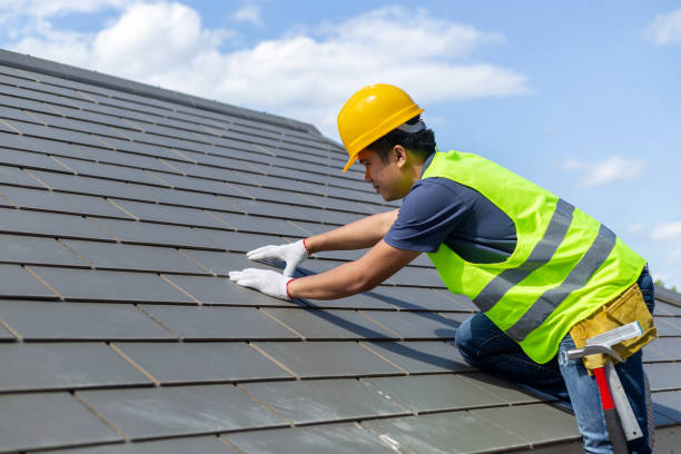 Roof Gutter Cleaning in Ellisville, MS