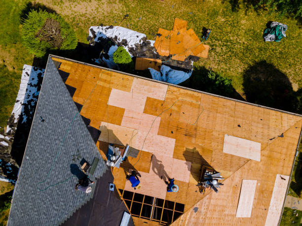 Best Roof Restoration Services  in Ellisville, MS