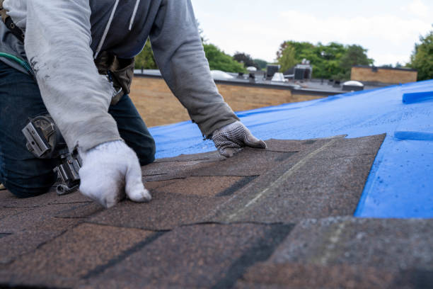 Residential Roof Replacement in Ellisville, MS