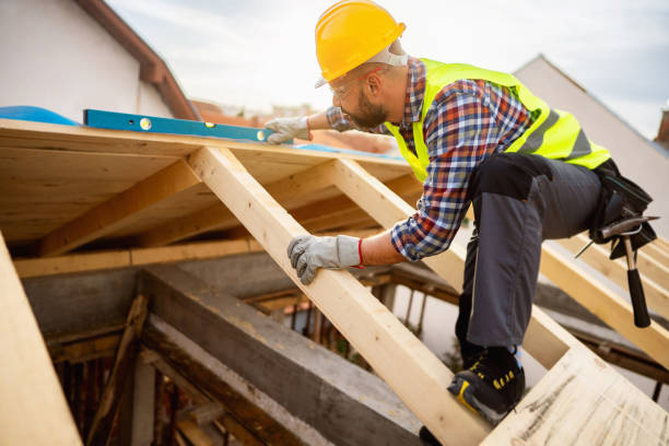 Roof Gutter Cleaning