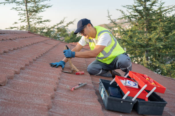 Best Metal Roofing Contractor  in Ellisville, MS