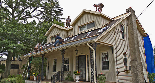 Best Gutter Installation and Roofing  in Ellisville, MS